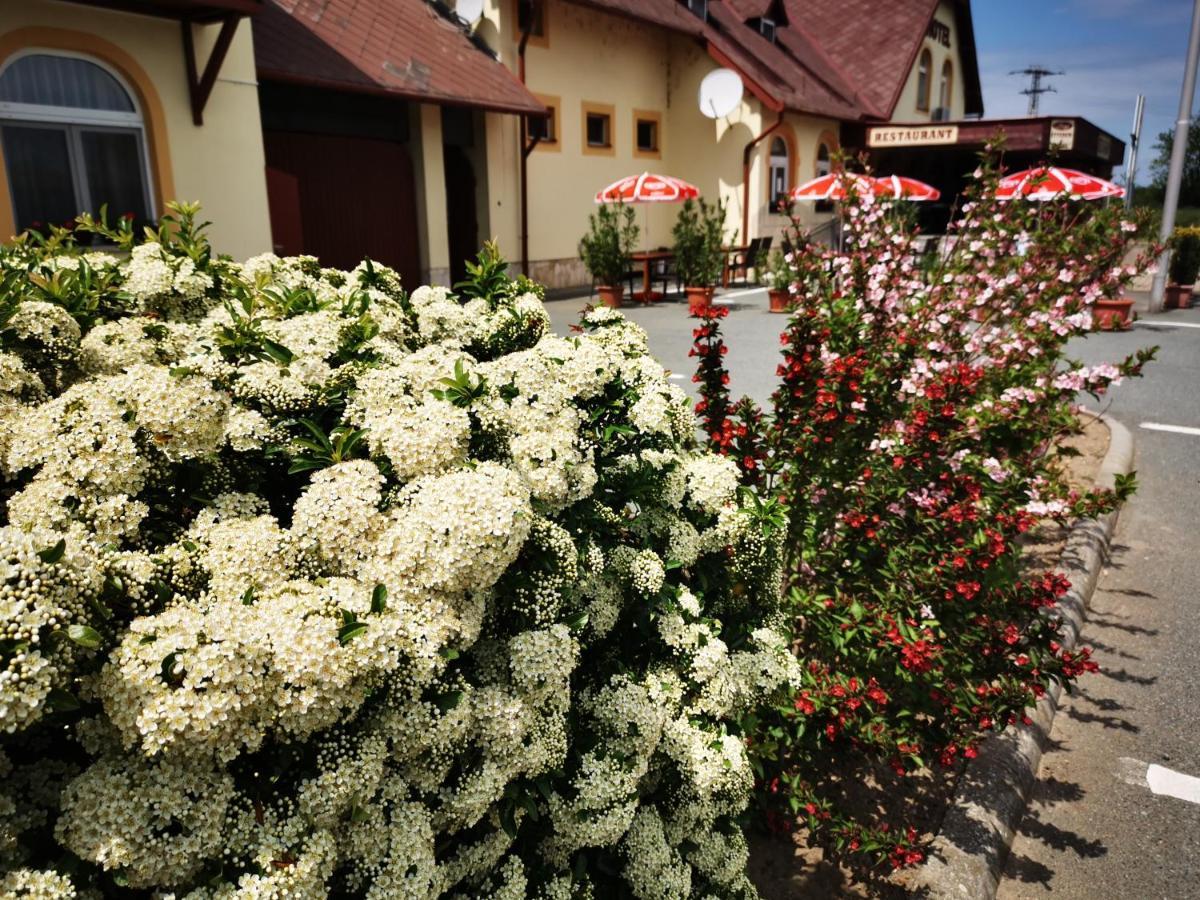 Hotel Patyi Etterem Es Bögöte